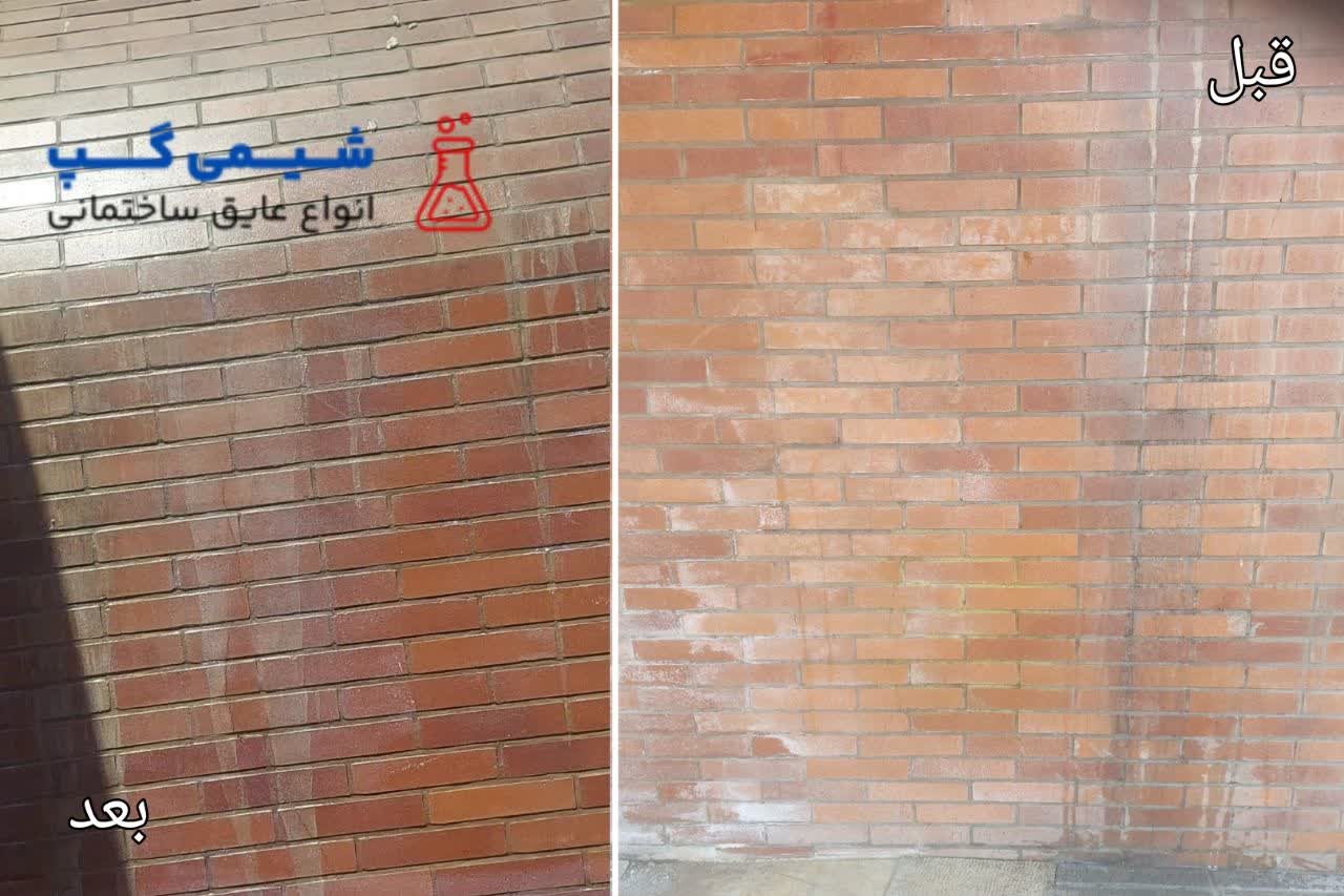 دیوار نم دار