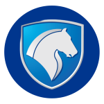 ایران خوردو